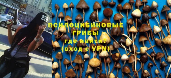 ешки Арсеньев