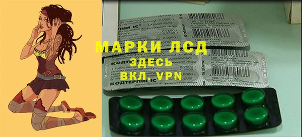 эйфоретик Аркадак