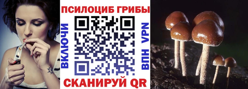 Псилоцибиновые грибы ЛСД  omg зеркало  Себеж 
